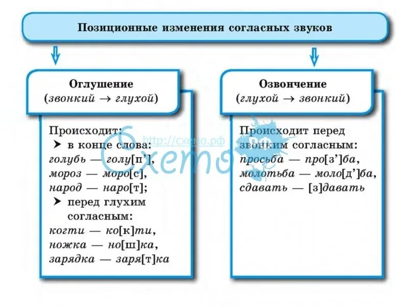 В каком слове происходит озвончение согласного. Оглушение согласного звука примеры. Позиционные изменения согласных. Позиционные изменения согласных звуков. Позиционные изменения согласных примеры.