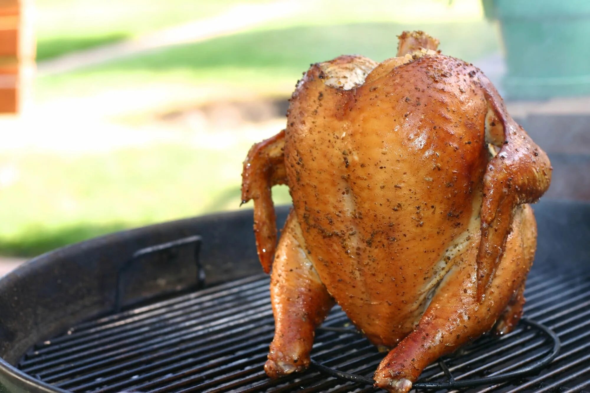 Chicken can be. Куры гриль. Курица гриль на улице. Курица смешная на грли. Классическая курица гриль.