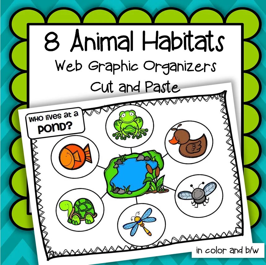 Animal Habitats. Animal Habitats Worksheets for Kids. Animal Habitat for Kids. Habitat для детей на английском.