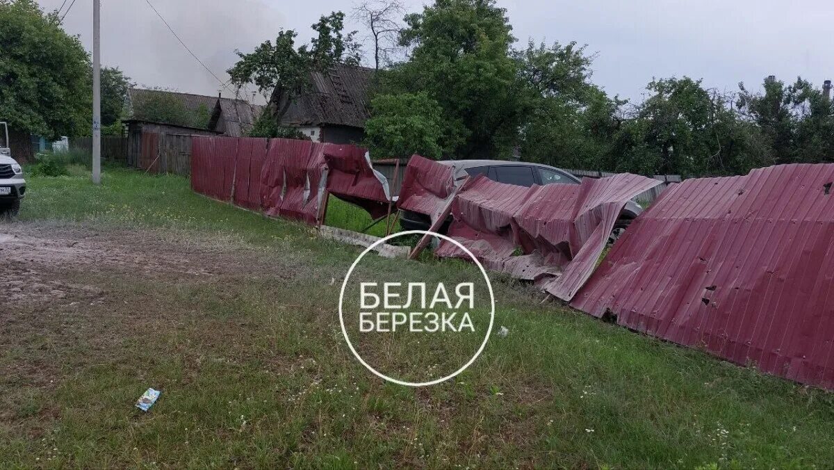 Новости в белой березке