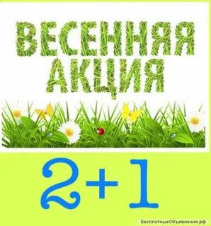 Весенняя акция семейные выходные ответы на вопросы