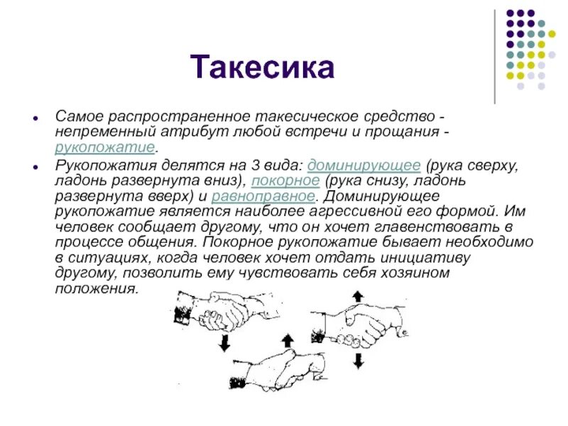 Такесика это