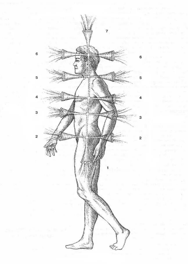 Нервные узлы это тела. Чакры на теле человека схема. Чакра человека Барбара Бреннан руки света. Чакры человека воронки. Энергетическая анатомия человека.