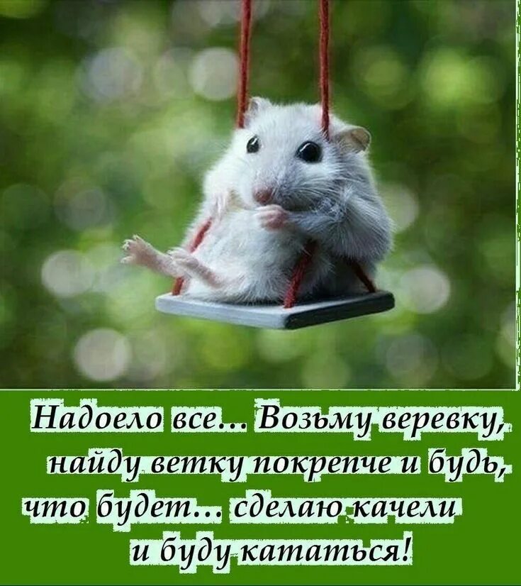 Все надоело музыка. Как все надоело. Высказывания о музыке. Надоело все. Все надоело музыка.