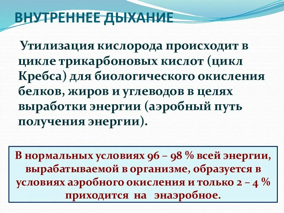 Система внутреннего дыхания. Внутреннее дыхание. процессы внутреннего дыхания. внутреннее дыхание физиология. характеристика внутреннего дыхания.