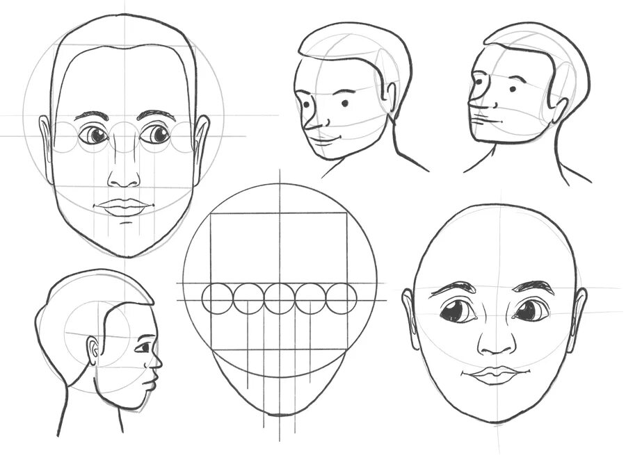 Поэтапное рисование портрета 3 класс презентация. Лицо рисунок. Основы рисования портрета. Портрет человека карандашом для начинающих 6 класс. Пропорции лица.