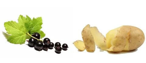 Картофельная кожура удобрение