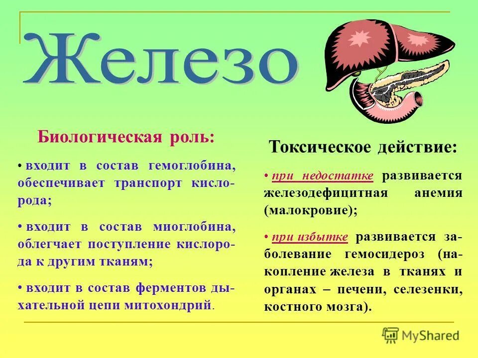 Железо в роли элемента. Биологическая роль железа. Железо биологическое значение. Биологическая роль железа в организме человека.