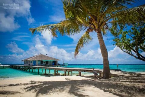 Eriyadu island resort