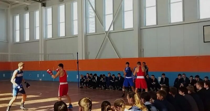 бокс рузаевка. седьмая школа республика мордовия. бокс рузаевка. спортивный зал школа 30 смоленск. школьные соревнования по физкультуре девушки.