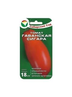 Сиб сад