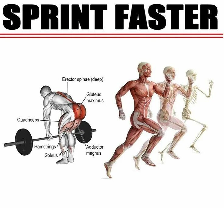 Спринт упражнение. Sprint "Sprint". Fast faster the fastest упражнения.