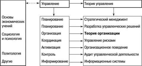 Структура и системы организации теория организации