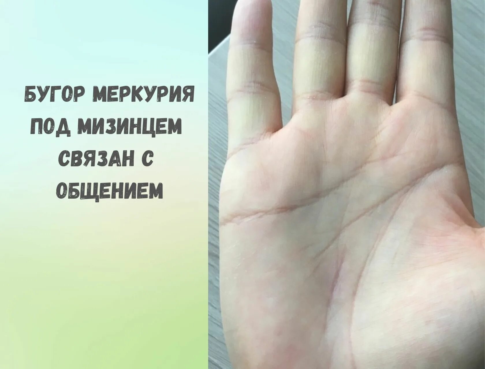 линия жизни. линия жизни раздваивается в конце. ответвления от линии сердца. хиромантия линия ума раздваивается. хиромантия.