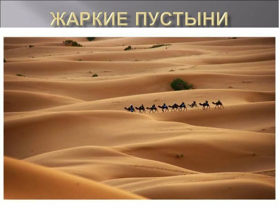 Почему африка пустыня. Африка пустыня сахара. аравийская пустыня. пустыня сахара климат. жаркая пустыня.