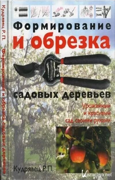 Обрезка плодовых деревьев книга. Кудрявец книга кудрявец обрезка плодовых деревьев. формирование и обрезка садовых деревьев книга. кудрявец формирование и обрезка плодовых деревьев.