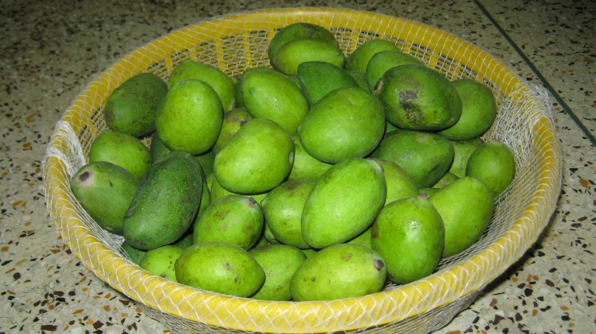 Манго зеленый фрукт. Маленькое зеленое манго. Фрукт зелёный овальный. Зеленый фрукт с косточкой.