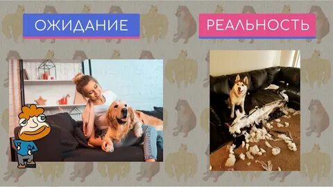 Реальность 7