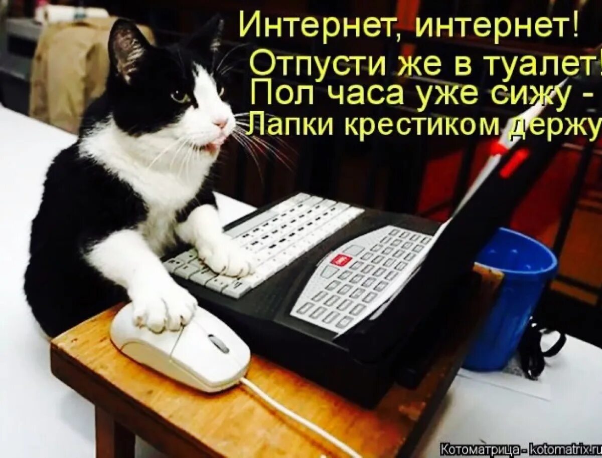 Что делать если не отпускают в туалет