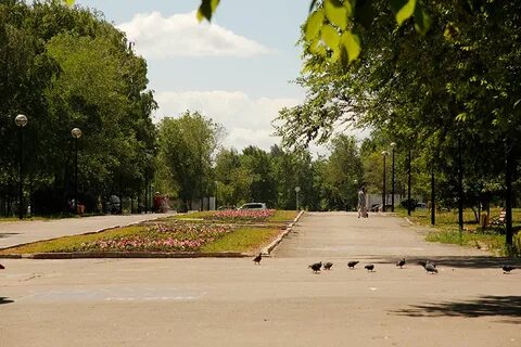 Молодежный парк самара