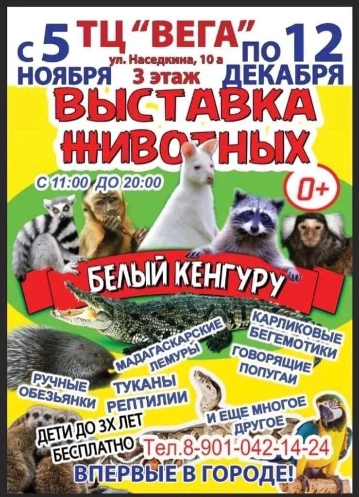 Выставка животных череповец 2025 тц мармелад. Выставка животных афиша. животные в череповце выставка. выставка животных в свободном. выставка животных и бабочек в череповце.