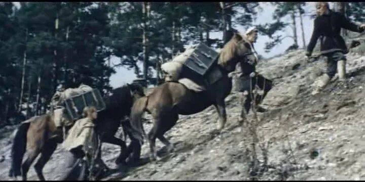 Комиссар из пропавшей экспедиции. Кайдановский пропавшая Экспедиция. Пропавшая Экспедиция 1975 Зимин.