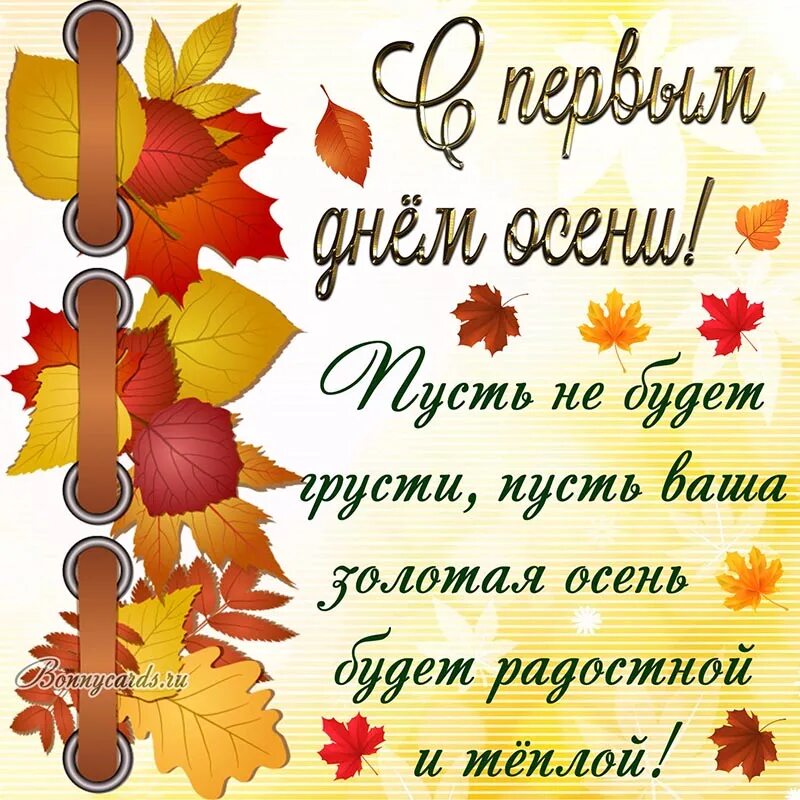 Песня пусть осень пройдет золотая минус. С первым днем осени. Поздравление с осенью. Открытки с первым днем осени. С первым днем осени и 1 сентября.