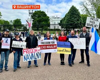 Тг канал навального