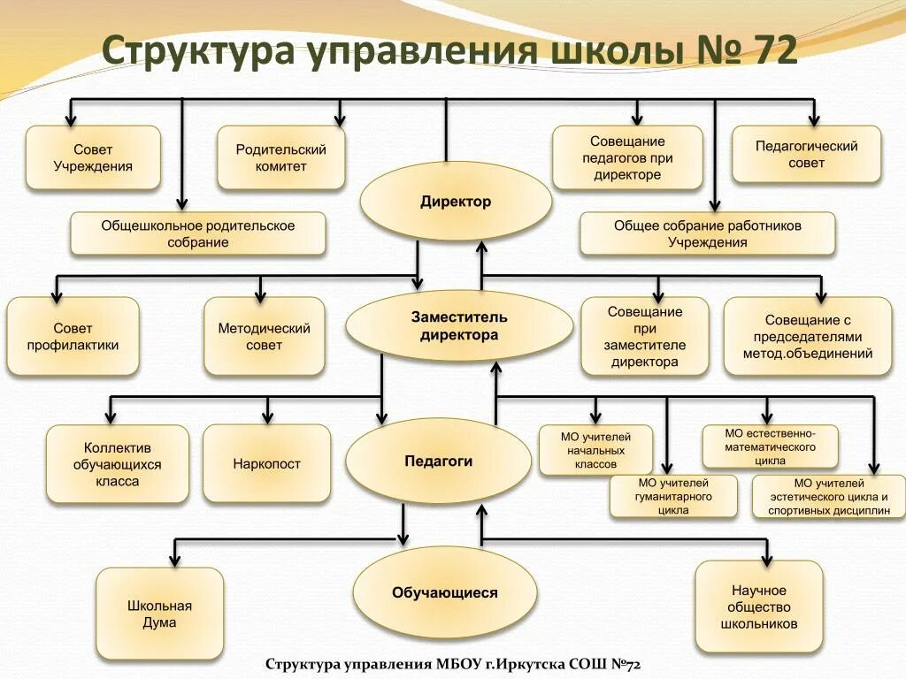 Схема управления школой. Структура управления школой. Органы управления школы. Структура школьного управления. Структура школы.