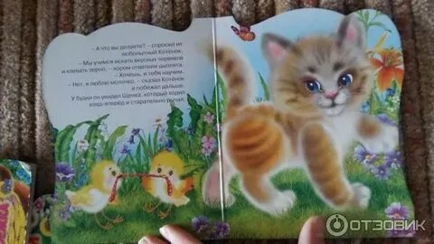 Любе подарили котенка