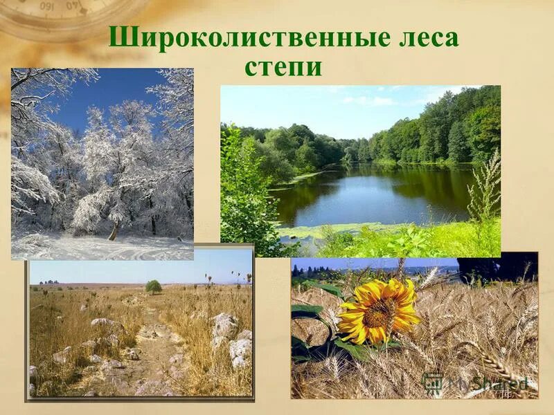 карта природных зон россии 4 класс окружающий мир в учебнике. карта природных зон россии 4 класс окружающий мир. природные зоны на карте с названиями 4 класс. природные зоны россии широколиственные леса на карте. природные зоны россии 4 класс окружающий мир 21 век карта.