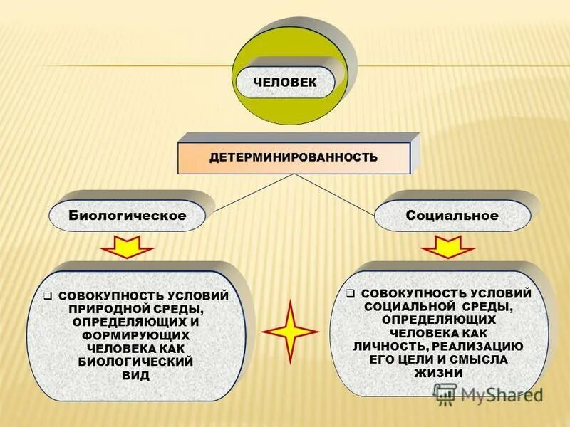 Окружение определяет человека