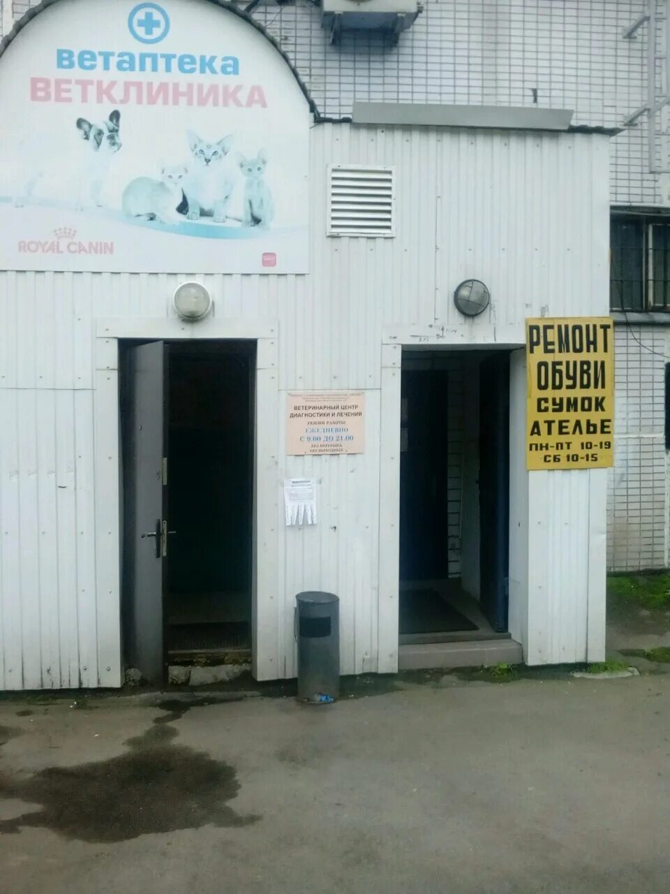 ветклиника на дубнинской 32. ахилл ветклиника на белозерской. ахилл ветклиника на белозерской. ахилл ветклиника на белозерской. пропажа собак в зябликово.