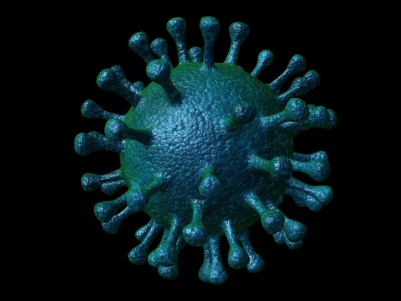 Find viruses. Вирусы. Коронавирус. Вирус 3д. Вирус jpg.