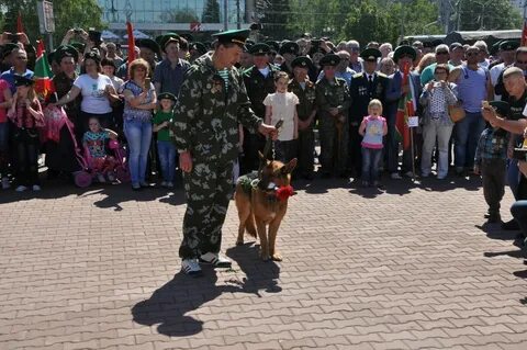 28 мая правильно