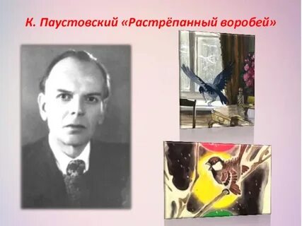 Паустовский растрепанный воробей читательский