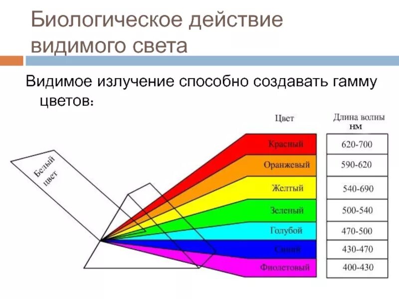 Длина волны излучения в видимой части спектра. Диапазон видимого человеком спектра излучения. Длина волны видимого спектра излучения. Длина волны зеленого света. Частота оранжевого света