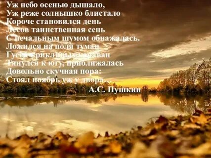 Сочинение уж