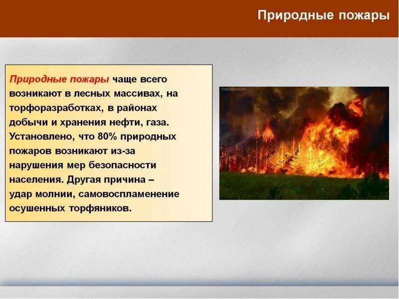 Особенности природного пожара. Природные пожары делятся на. Природные пожары ОБЖ. Природные пожары это определение. Природные пожары по ОБЖ.