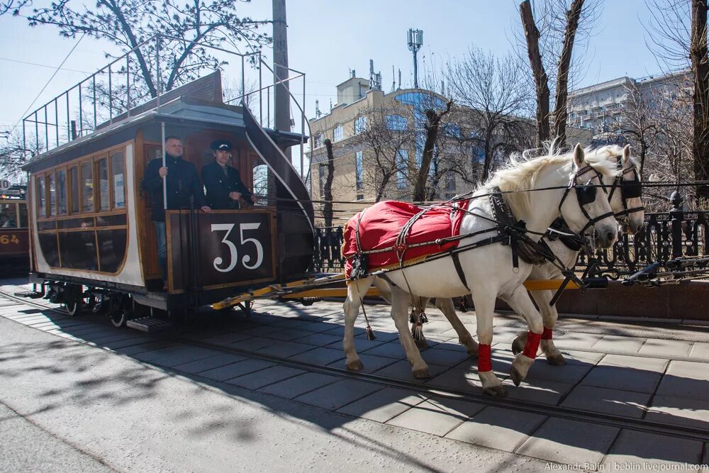 2 конка. севастопольский трамвай балаклава. день рождения московского трамвая. конно железная дорога конка 19 век. конка в петербурге.