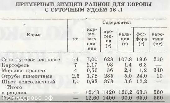 Рацион коровы. Суточный рацион питания для дойной коровы. Рацион КРС дойных коров. Суточный рацион питания коровы в кг. Коровы сколько надо сена