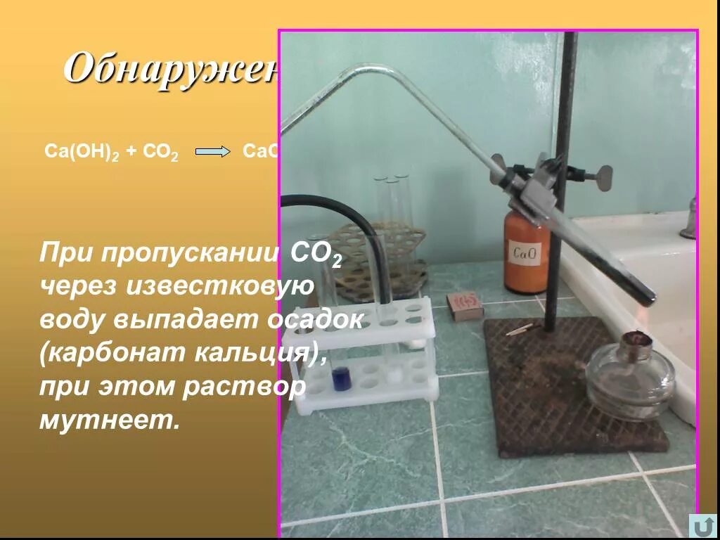 Взаимодействие углекислого газа с известковой водой. Обнаружение углекислого газа известковой водой. Пропускании со2 через известковую воду. Пропускание углекислого газа через известковую воду. Пропускание углекислого газа через раствор известковой воды.