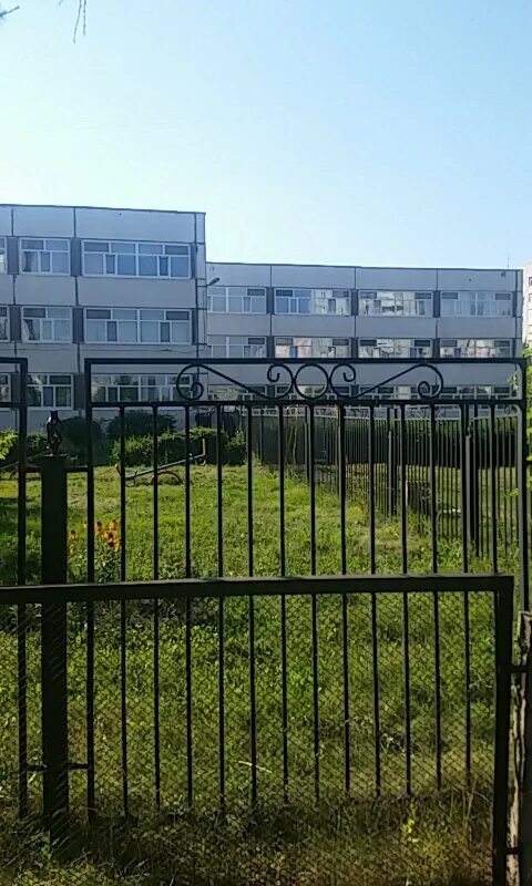 62 школа ульяновск. школа 70 ульяновск. школа 37 ульяновск. школа 63 ульяновск. 253 детский сад ульяновск белоснежка.