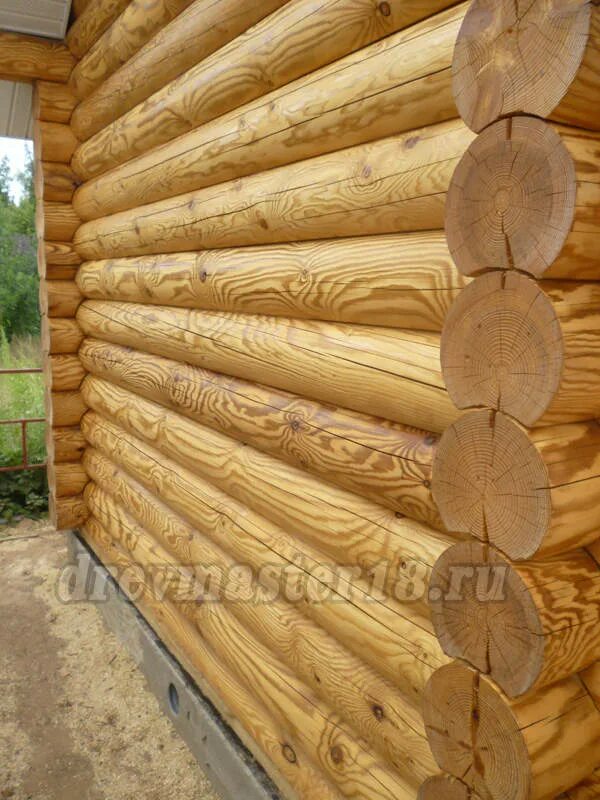 Покрытие бревна. Пропитка для сруба. масло на бревне. пропитка для бревна. бревна покрытые лаком.