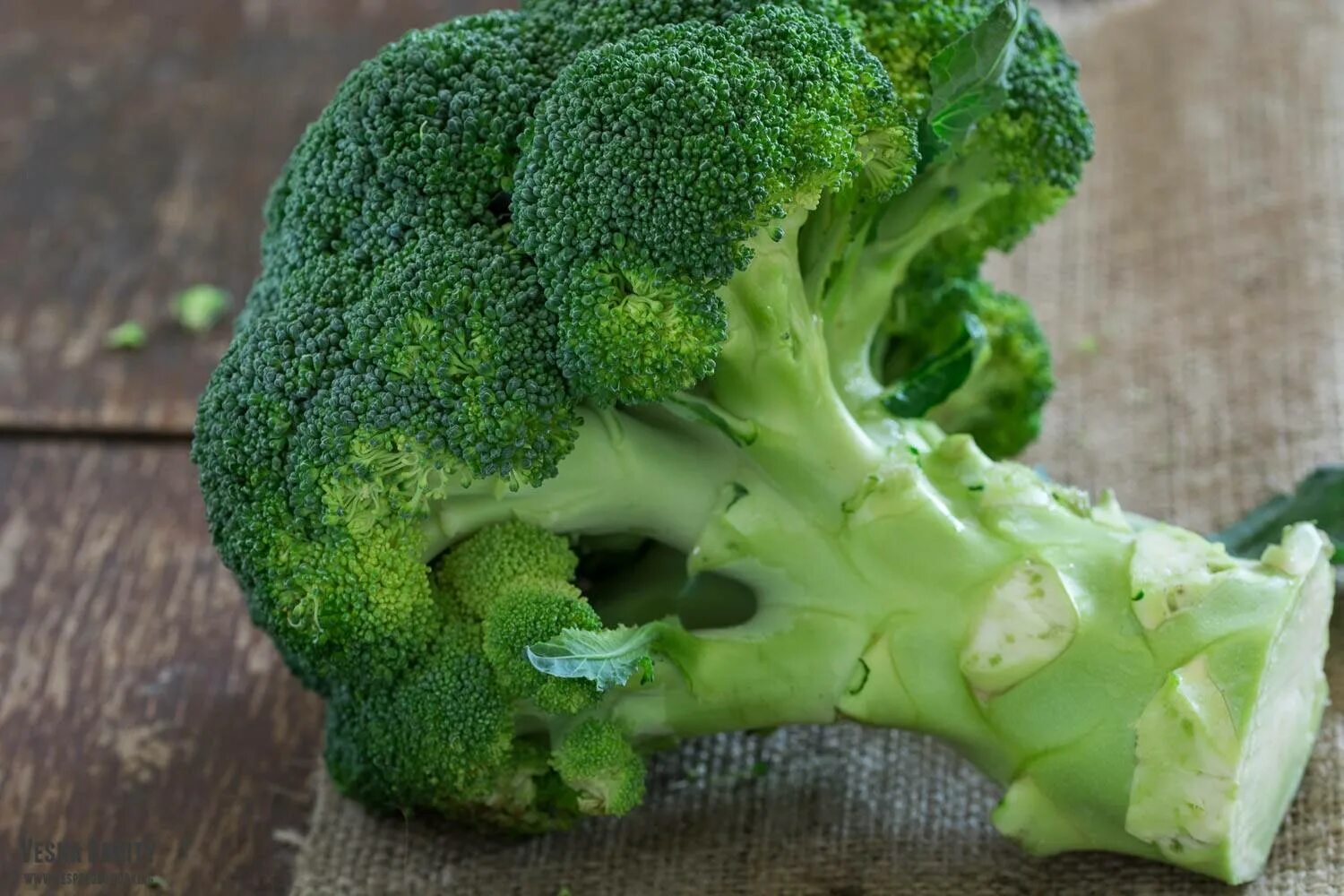 Мукабан брокколи. Брокколи дио. Брокколи на ночь можно. Брокколи пожелтела. Брокколи для красоты кожи.