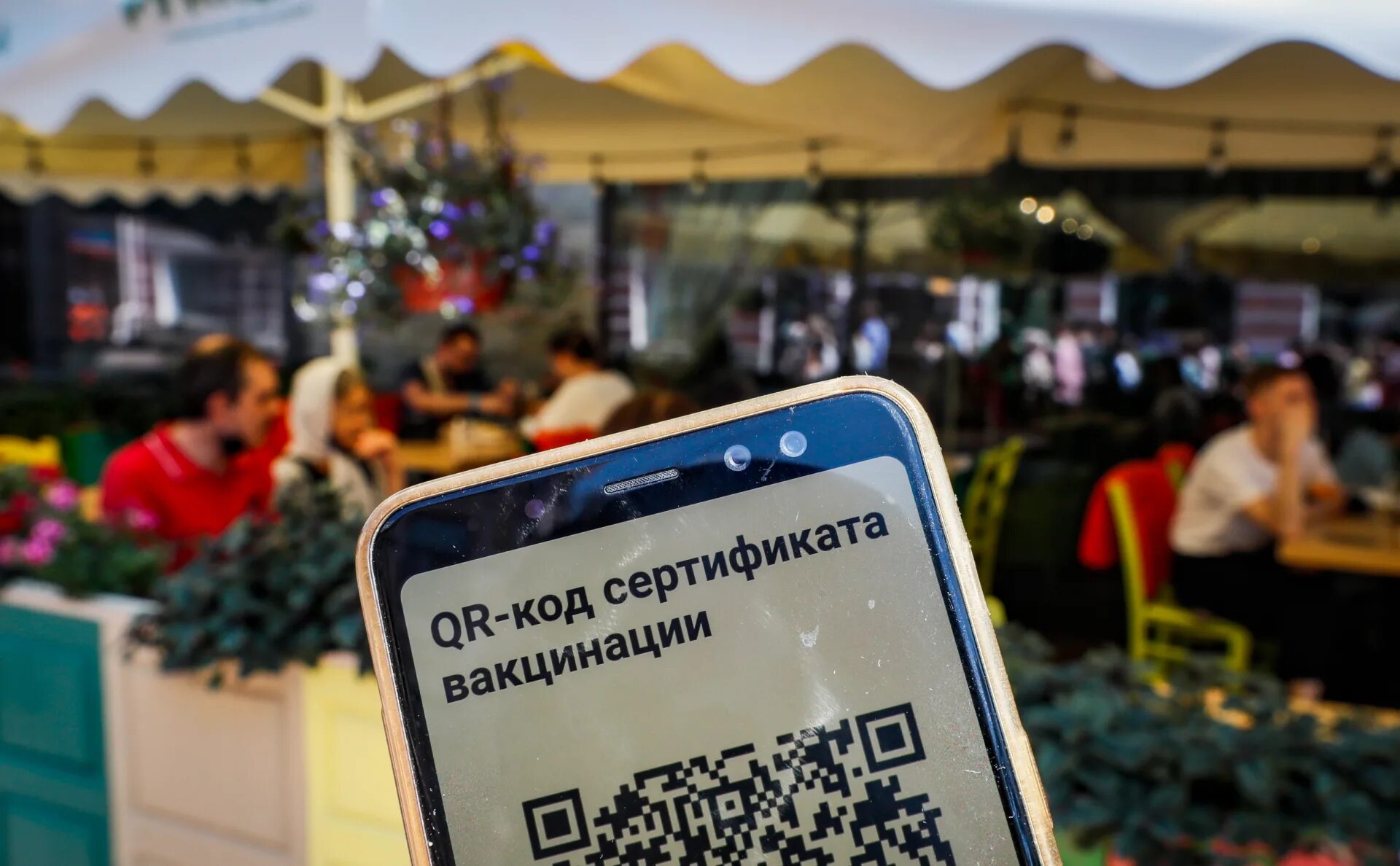 Отменили QR коды. QR коды в ресторанах. В Москве отменили QR коды. QR коды в общественных местах. Отменили qr кодов