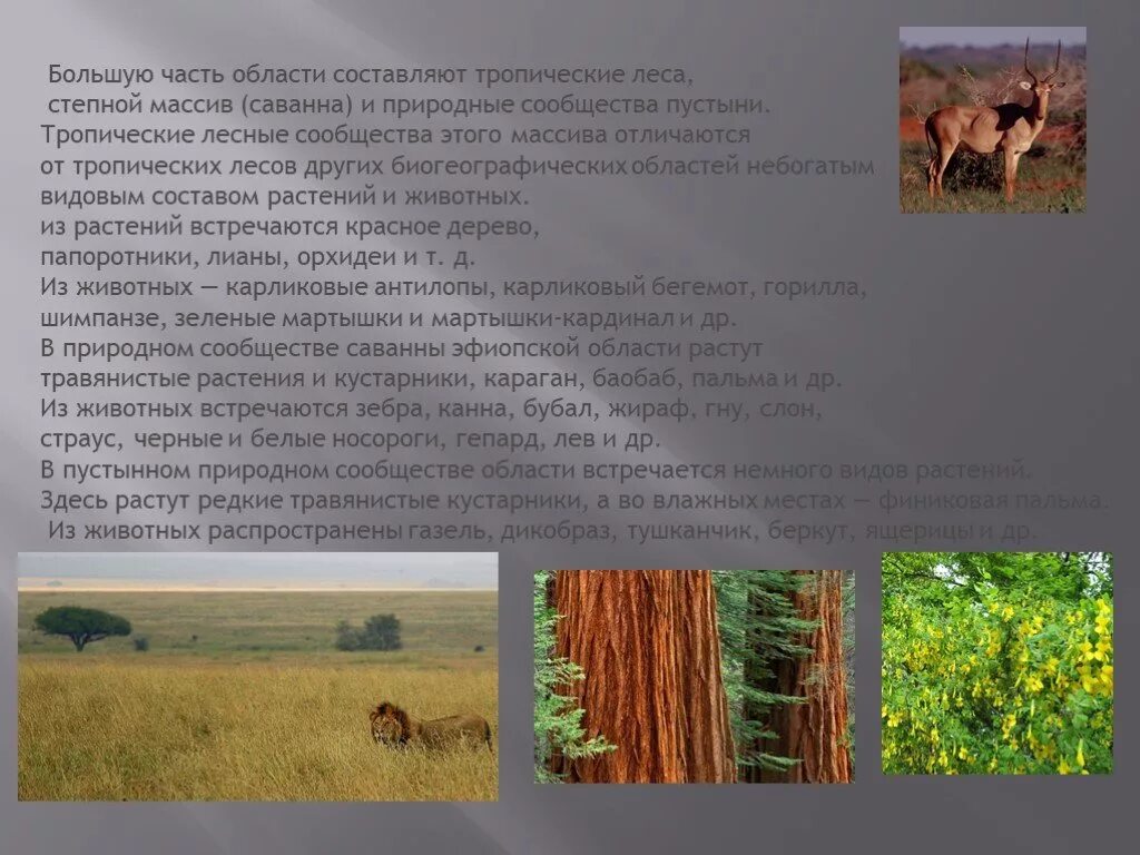 К серьезным изменениям природного сообщества степи приводит