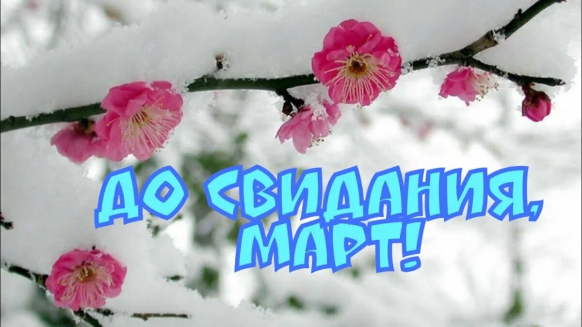 Красивые открытки с последним днем апреля. До свидания март. открытки с последним мартовским днем. до свидания март апрель здравствуй.