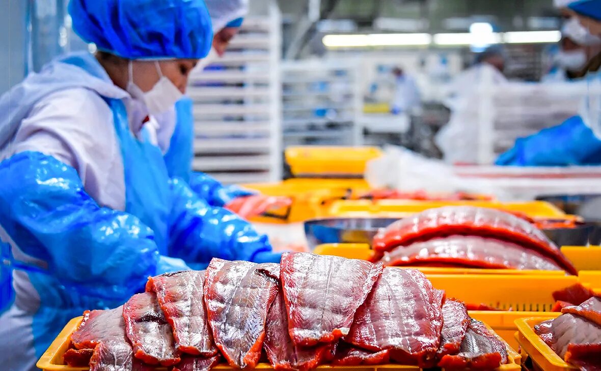 Упаковщик морепродуктов. Упаковщик рыбной продукции. Рыбный завод. Упаковщик рыбы. Упаковщик морепродуктов.