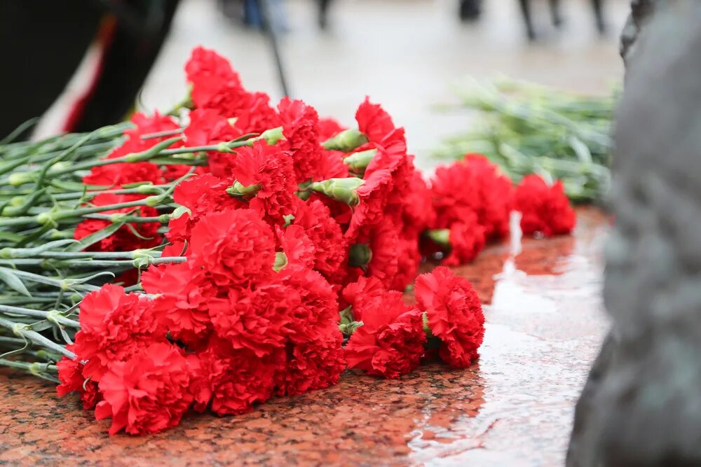 Возложение цветов к памятнику какие цветы. Гвоздики возложение воинам интернационалистам. Возложение цветов к памятнику. Цветы на возложение. Цветы на памятник.